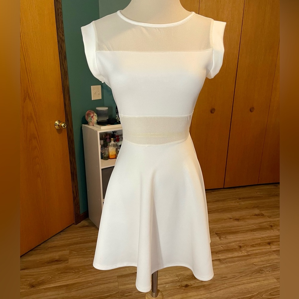 White Mesh Skater Dress